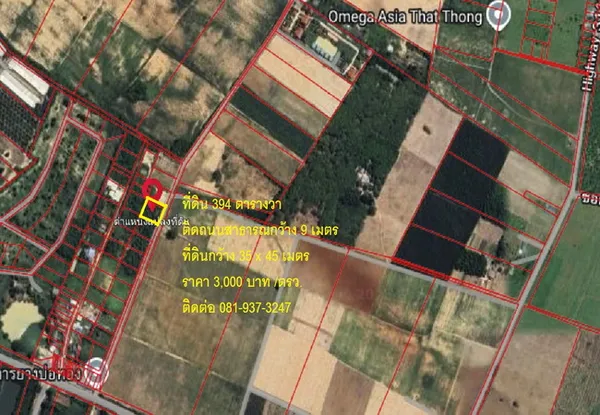 ขายที่ดิน ตำบลธาตุทอง อำเภอบ่อทอง ชลบุรี ถนนทางหลวงหมายเลข3340