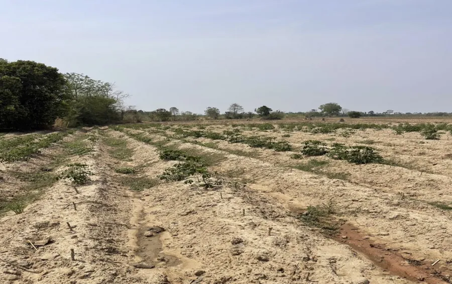 ขาย ที่ดิน สีม่วงเข้ม ติดนิคมกบินทร์บุรี 1023-2-68