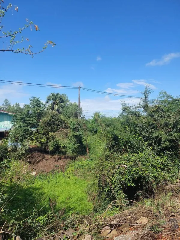 ขายที่ดินเปล่า ทำเลดี กำแพงดิน อ.สามง่าม จ.พิจิตร