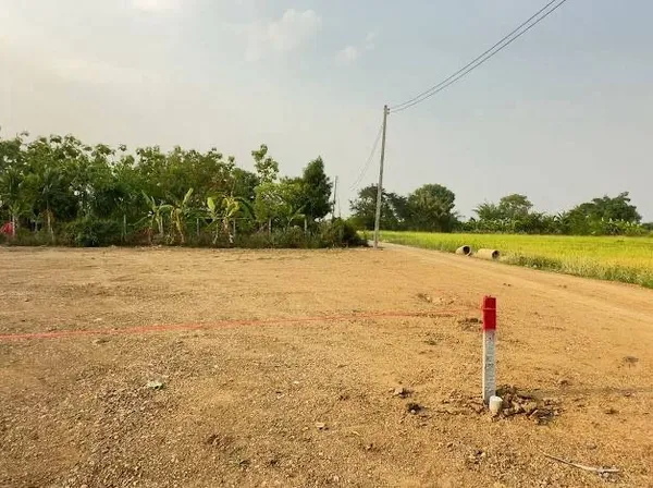 พลาดไม่ได้! ที่ดินถมแล้ว วิวภูเขาและวิวทุ่งนาสวย อ.เมือง เชียงใหม่ ใกล้ Central Festival 15 นาที