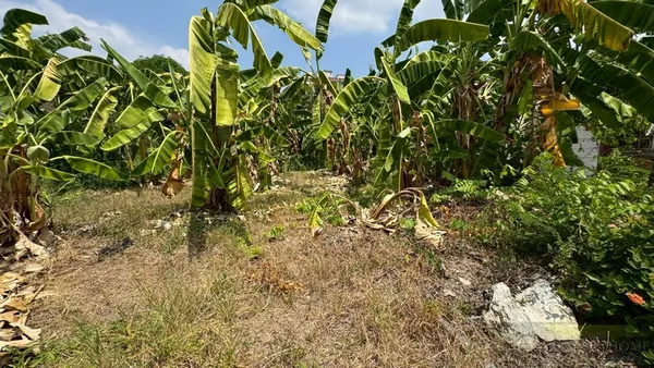 ขายที่ดินแปลงมุม 130 ตรว ติดถนน 2 ด้าน ประชาชื่น 28 ทำเลทองใกล้รถไฟฟ้า 2 สาย เข้าออกได้ 2 ทาง