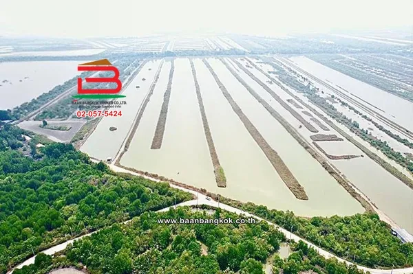 ที่ดินพร้อมบ้าน เนื้อที่ 106-3-80 ไร่ (ใกล้วัดเขาตะเครา,ใกล้ครัวครูจันทร์) ถนนธนบุรี-ปากท่อ ตำบลบางครก อำเภอบ้านแหลม เพชรบุรี