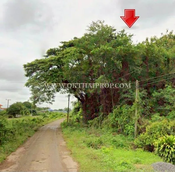 ขายที่ดินพร้อมต้นสัก ใกล้อบต.สร้อยทอง อ.ตาคลี จ.นครสวรรค์