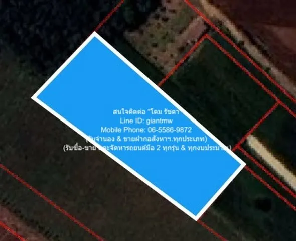 พื้นที่ดิน ขายที่ดินไร่สวนทางการเกษตร (ติดถนน และติดเขา) ใหญ่ 878 ตาราง.วา 1192205 B. ใกล้ จุดชมวิวเขาช่องลม เขาช่องลม ร