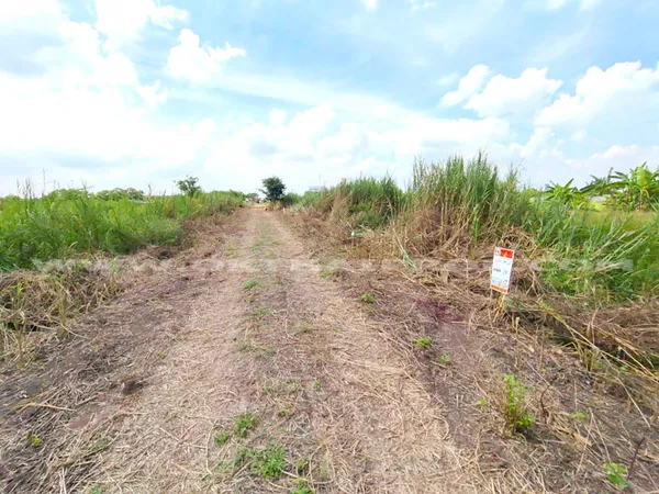 ที่ดินจัดสรรล็อคที่ 23 ถ.346 ต.หน้าไม้ อ.ลาดหลุมแก้ว จ.ปทุมธานี