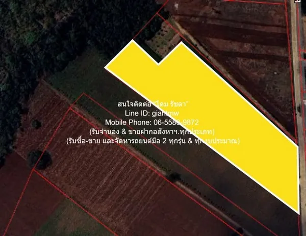 พื้นที่ดิน ขายที่ดินไร่สวนทางการเกษตร (ติดถนน และติดเขา) 689000 บ. ขนาด 98 SQ.WA 0 Ngan 1 Rai ทำเลคุณภาพ ที่ดินผังสีเขีย