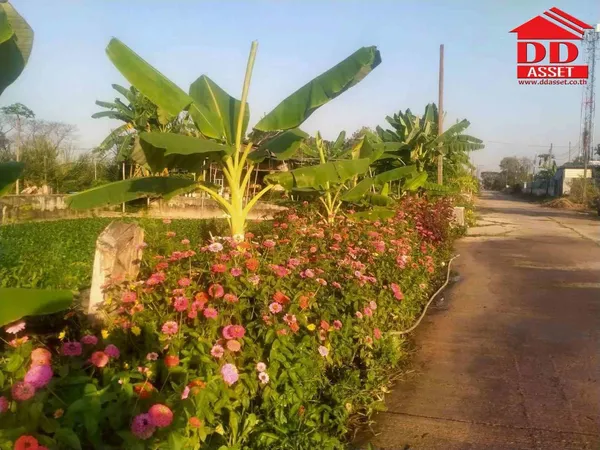 ขาย ที่ดินเปล่า ซอยราษฎร์อุทิศ 58 มีนบุรี