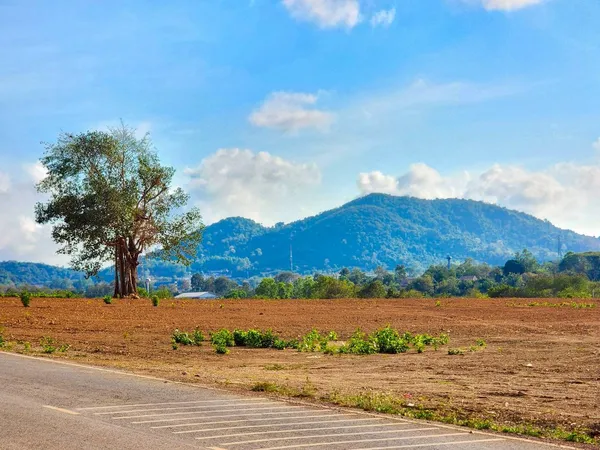 ขายที่ดินทำเลศักยภาพ ในอนาคตรถไฟฟ้าความเร็วสูงผ่าน และสนามบินนานาชาติอู่ตะเภา