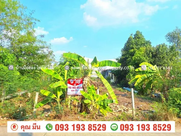 ขาย ที่ดินเปล่า 109 ตร.วา ไทรน้อย