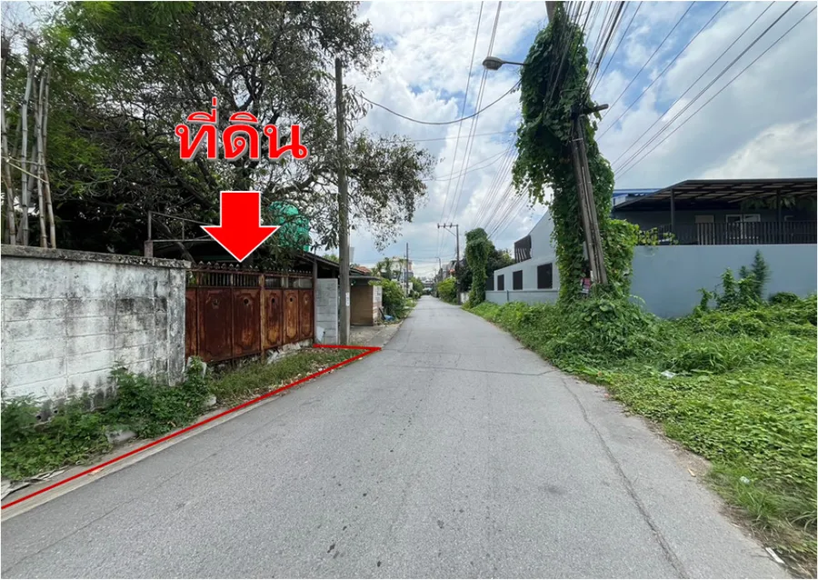ขายถูก ที่ดิน สุขุมวิท 71 ปรีดี 14 เหมาะบ้าน 89 ตร
