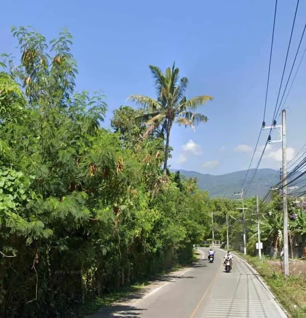 ขายที่ดินวิวดอยสุเทพ 2-1-13.5 ไร่ ต.ช้างเผือก ในเมืองเชียงใหม่