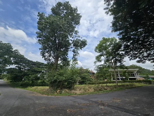 ขายที่ดินเขาใหญ่ แปลงมุม 289.9 ตร.ว ภูภัทรา 3 วิวธรรมชาติ ติดถนน 2 ด้าน