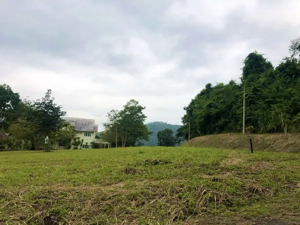 ขายที่ดิน 1-0-70ไร่ ในสนามกอล์ฟเซอร์เจมส์คันทรีคลับ Forest Hill อ.มวกเหล็ก สระบุรี แปลงมุม ฟรีเมมเบอร์กอล์ฟตลอดชีพด้วย