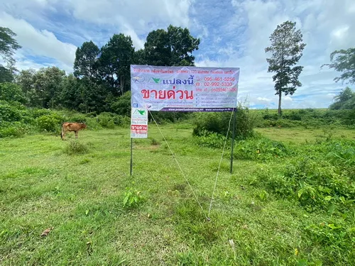 ขายที่ดิน 3-1-59 ไร่ เชียงราย – ทำเลดี ติดถนนลาดยาง เหมาะสร้างบ้าน & เกษตรกรรม