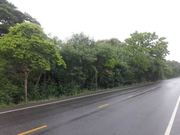 ขายที่ดินเปล่า โอกาสสำหรับนักลงทุน จ.สระบุรี 24 ไร่  15 ล้านบาท