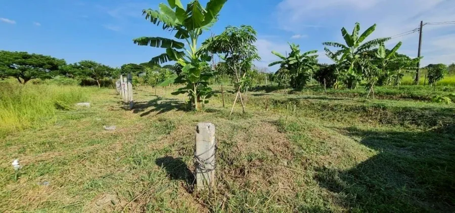 ขายถูก ที่ดิน ริมบึง 297 ตรว. คลองสามวา ผังเขียว ใ