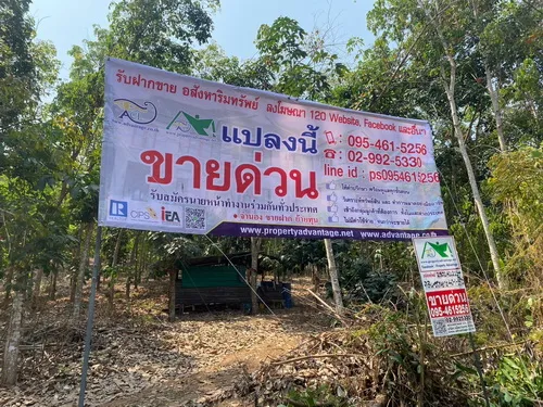 ขายที่ดินสวนยาง ขนาด 40-1-39 ไร่ กรีดขายได้แล้ว ทำเลดี วิวแม่น้ำโขง - จังหวัดหนองคาย