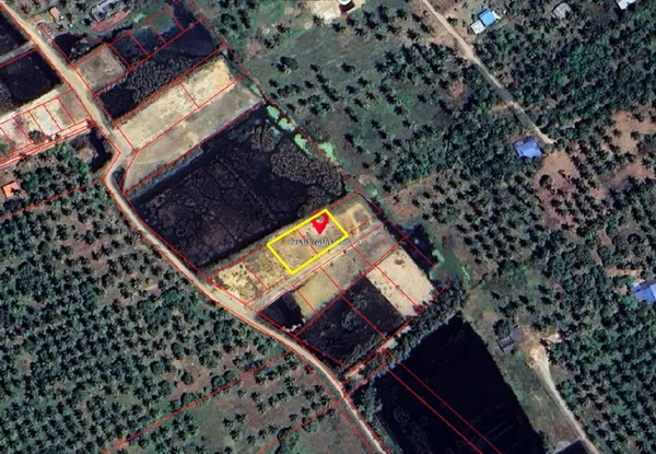 ขายและให้เช่าที่ดิน สามร้อยยอด ประจวบคีรีขันธ์ เนื้อที่ 350 ตร.ว.