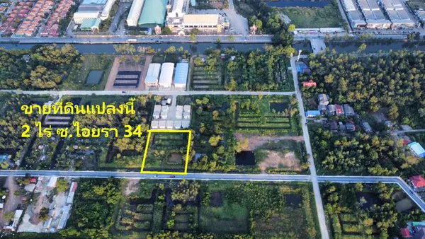 ขายที่ดินเปล่าถมแล้ว 2 ไร่ ซอยไอยรา34  หลังตลาดไท ตรงข้ามโรงเรียนเทศบาลท่าโขลง คลองสอง คลองหลวง ปทุมธานี

