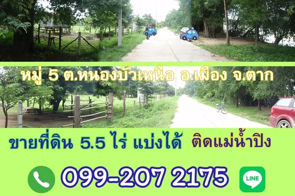 ขายที่ดินเปล่า 5.5ไร่ แบ่งได้ ติดแม่น้ำปิง หมู่ 5 ตำบลหนองบัวเหนือ อ.เมือง จ.ตาก ใกล้สะพานข้ามแม่น้ำปิงแห่งใหม่ สะพานบ้านวังม่วง
