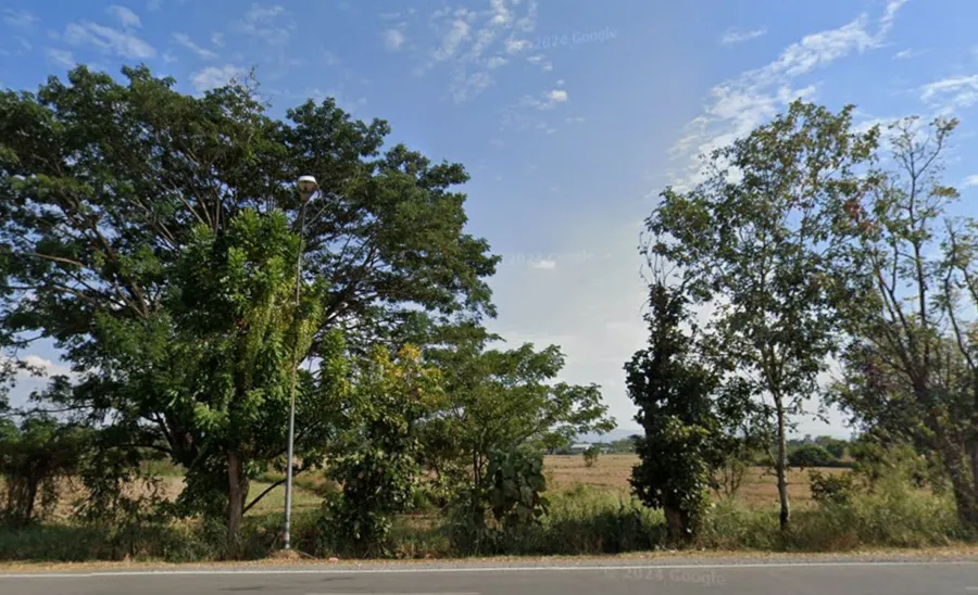ขายที่ดิน 343-0-10 ไร่ ตรงข้ามมหาวิทยาลัยมหามกุฏรา
