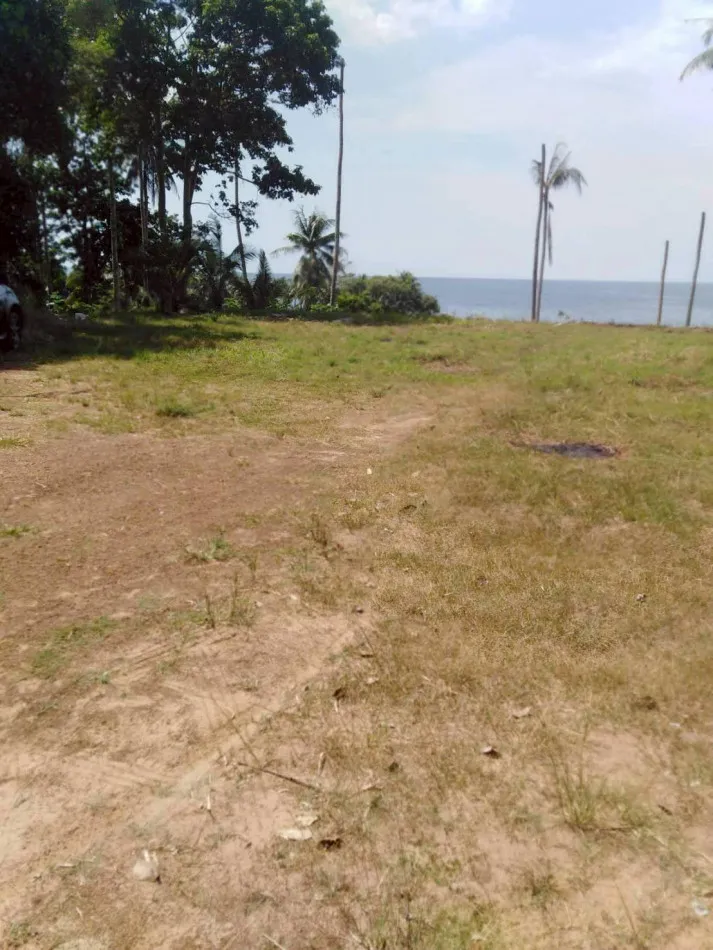 ขายที่ดิน จ.ตราด ติดทะเล 1 ไร่ 1 งาน 59 ตร.ว. ใกล้