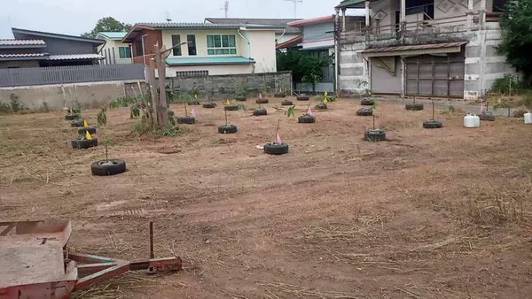 ขายถูกมาก!! ที่ดินทำเลทอง ใจกลางอำเภอเมืองโคราช ใกล้สวนน้ำบุ่งตาหลั่ว เดอะมอลล์ 
อนุสาวรีย์ย่าโมฯ