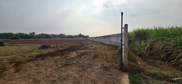 ขายที่ดินพร้อมสิ่งปลูกสร้าง ทำเลดี บรรยากาศร่มรื่น
