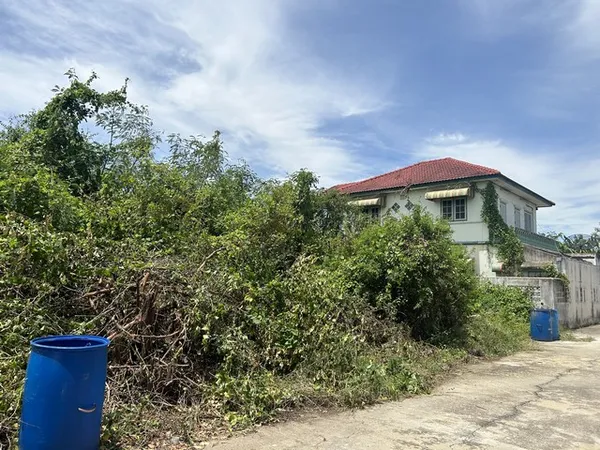2366 ขายด่วน ที่ดิน หมู่บ้านกำแพงแสนกรีนแลนด์ ดีดี