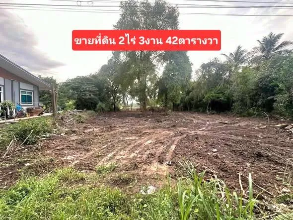 ขายที่ดินติดแม่น้ำเจ้าพระยา อำเภอพยุหะคีรี นครสวรรค์