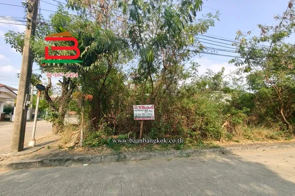 ที่ดินเปล่า หมู่บ้านปาริชาต 345 (โซน B ซอย 15) เนื้อที่ 81 ตรว. ตำบลบางคูวัด อำเภอเมืองปทุมธานี จังหวัดปทุมธานี