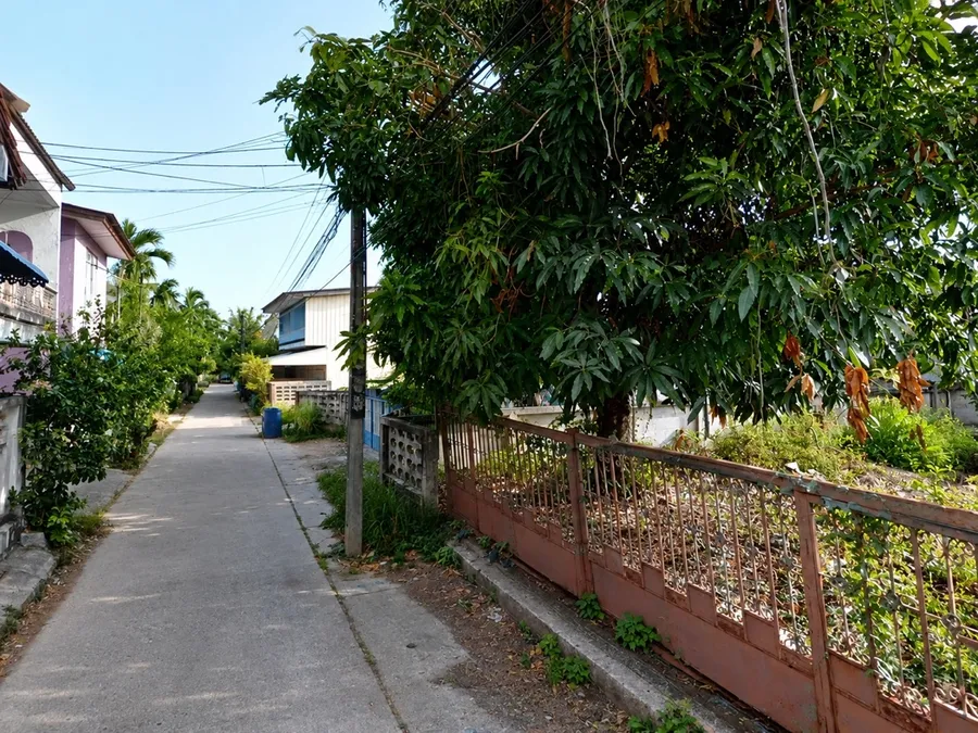 ขาย ที่ดิน ซอยกาญจนวนิช7สงขลา 49วา ตรงข้ามราชภัฏฯ