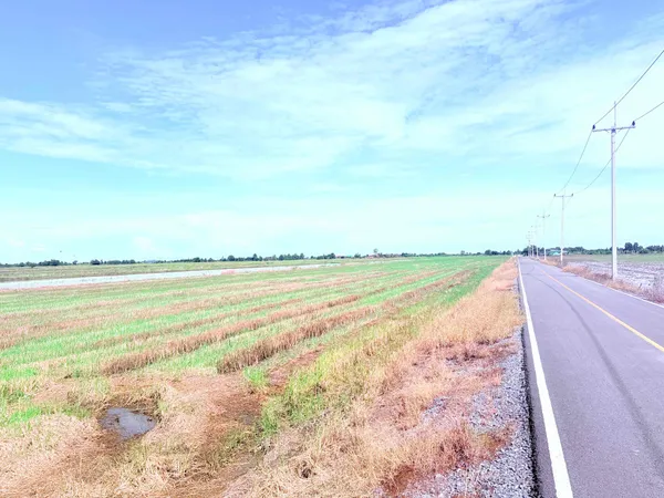 ขายที่ดินเปล่า ขนาดใหญ่  ราคาดี ทำเลบางเลน จ.นครปฐม