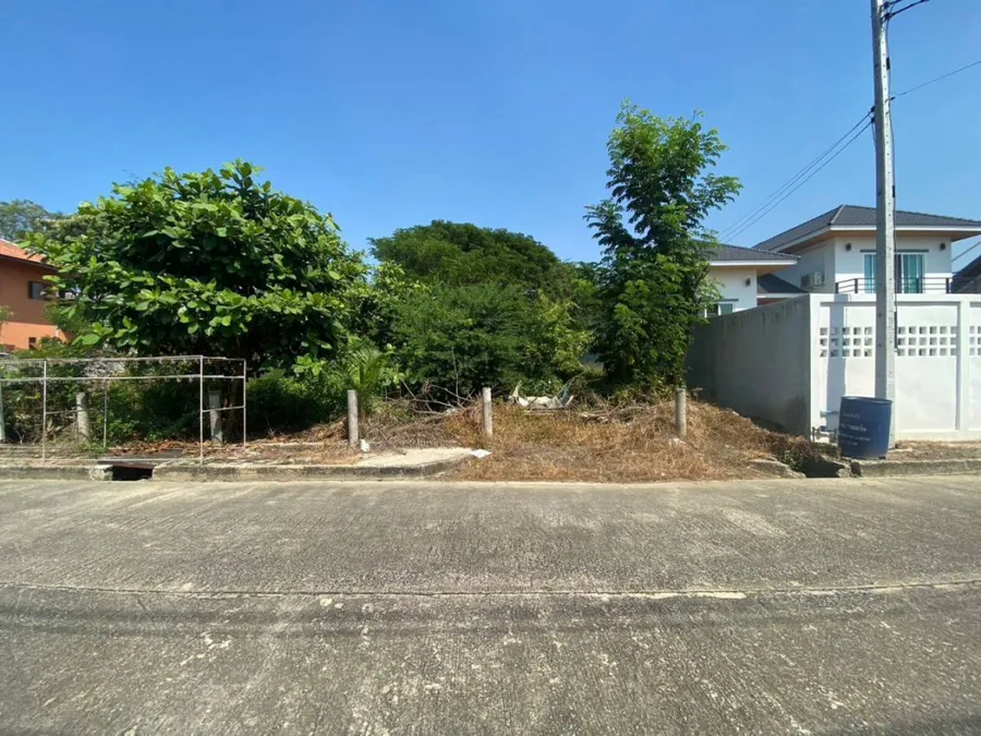 ขาย ที่ดิน พุทธมณฑลสาย 7 นครชัยศรี 1 งาน เหมาะสำหร