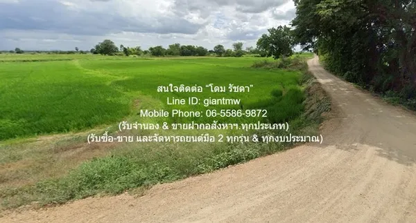 ที่ดิน //ต่ำกว่าราคาประเมิน//ขายที่ดินทุ่งนาข้าว อ.นครหลวง จ.พระนครศรีอยุธยา 17-0-76 ไร่ พ.ท. 6876 ตรว. 2800000 BAHT ไม่