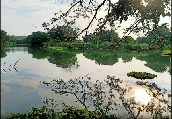 ขายถูกที่ริมน้ำ สามโคก-ปทุมธานี ซอยหงษ์ทอง 1 ไร่ ที่กว้างติดน้ำสวยมาก ติดถนนคอนกรีต ถมแล้ว เหมาะสร้างบ้าน ที่ดินแวดล้อมด้วยธรรมชาติ ใกล้เส้นกาญจนา ที่ริมเลค 087-9074045