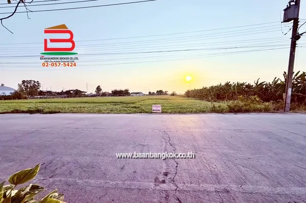 ที่ดิน เนื้อที่ 8-1-53 ไร่ เข้าซอยวัดคลองตาคล้าย ถนนกาญจนาภิเษก ตำบลไทรน้อย อำเภอไทรน้อย จังหวัดนนทบุรี