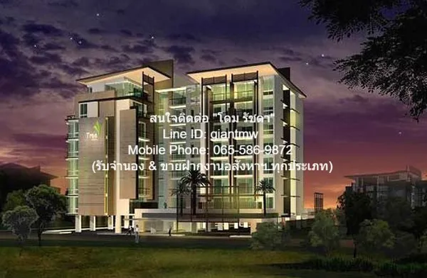 ให้เช่าด่วน คอนโด. Tree Condo Sukhumvit 52 สภาพเยี่ยม