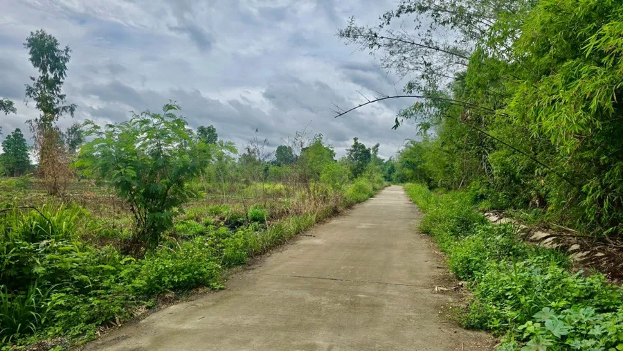 ขายที่ดินลำพูน 19-0-6 ไร่ ใกล้ถนนหมายเลข 1184