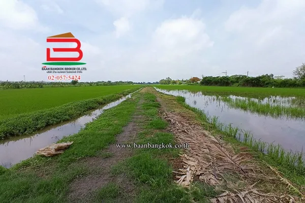 ที่ดินเปล่า ไมตรีจิต 10 แยก 4 เนื้อที่ 41-0-52 ไร่ ใกล้โรงพยาบาลรัตนประชารักษ์ แขวงสามวาตะวันออก เขตคลองสามวา