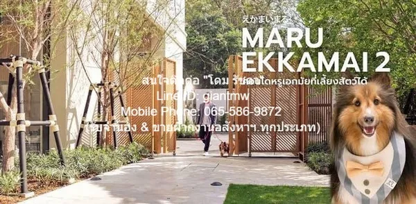 รหัส DSL-410.1 SALE คอนโด. มารุ เอกมัย 2 Maru EKKAMAI 2 2 นอน 2 น้ำ 12500000 บ. ใกล้ BTS เอกมัย BIG SALE!!