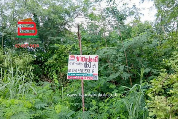 ที่ดินเปล่า ซอยสามร้อยยอด 20, ซอยสามร้อยยอด 1 เนื้อที่ 60 ตร.ว (ใกล้หาดสามร้อยยอด) ถนนเพชรเกษม ตำบลสามร้อยยอด อำเภอสามร้อยยอด จังหวัดประจวบคีรีขันธ์