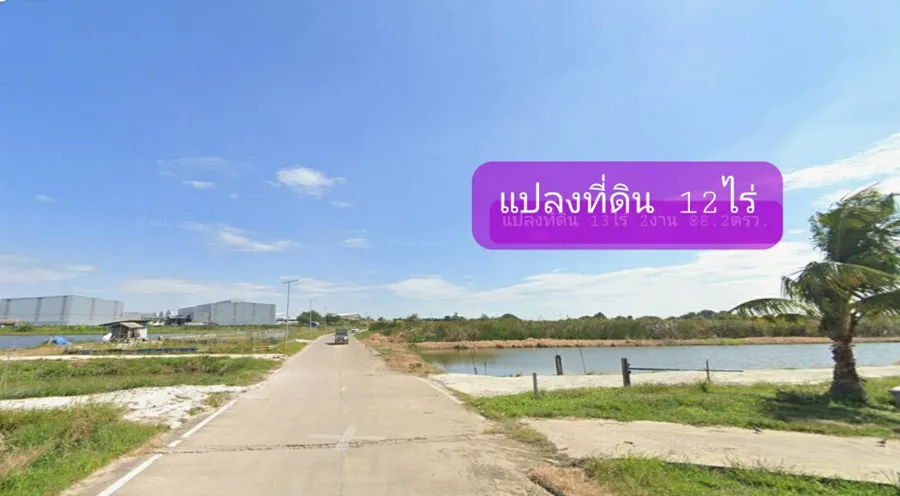 ขาย ที่ดิน ต.บางเพรียง อ.บางบ่อ