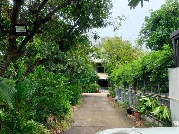 ขายที่ดินพร้อมบ้านเอกมัย สุขุมวิท เนื้อที่ 289ตร.ว ทำเลดี สภาพแวดล้อมดี สงบ ที่ดินบ้านเดี่ยวสุขุมวิท63 Sukhumvit Ekkamai house for sale ใกล้ BTSเอกมัย ทองหล่อ พระโขนง ปรีดี 087-9074045