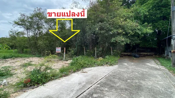 ขายที่ดิน ชัยพฤกษ์ บางนา-ตราด กม.18 สมุทรปราการ ประเมินวาละ22,000 ขายเพียงวาละ13,000