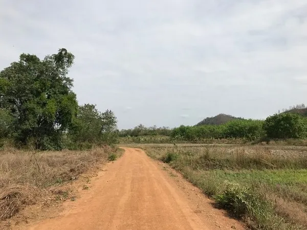 DSL-031 ขาย ที่ดิน ที่ดิน บ้านนาค้อ ปากชม จ.เลย 7 ไร่ 3 งาน 3143 ตร.วา 1200000 บาท