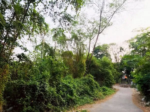 ขายที่ดิน 208 ตรว. นวมินทร์ 24 (ซอยอุเทน 8) ที่ติดริมน้ำ ใกล้สวนนวมินทร์ภิรมย์