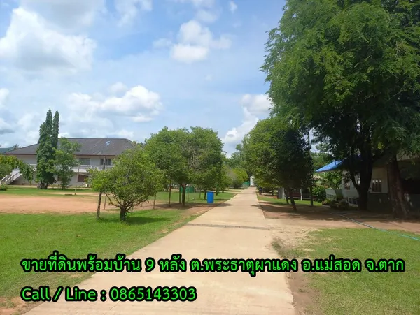 ขายที่ดินพร้อมอาคาร 9 หลัง เนื้อที่ 17-1-72 ไร่ (ฮวงจุ้ยดี หน้าติดน้ำ หลังพิงเขา) ตำบลพระธาตุผาแดง อำเภอแม่สอด จังหวัดตาก ใกล้ Global house สาขาแม่สอด 2 กม.
