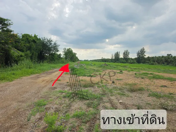 ขาย ที่ดินเปล่า ขนาด 2 ไร่ 259 ตร.วา เหมาะสำหรับทำการเกษตร ปลูกบ้านพักอาศัย โกดังจัดสรร | 93359