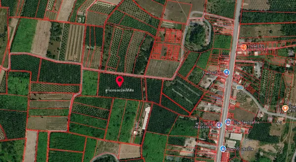 ขายที่ดินเปล่าพร้อมสวนปาล์ม  13 ไร่ ทำเลดี อำเภอรัษฎา จังหวัดตรัง